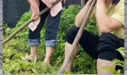 吃瓜群众的娱乐八卦,明星秘闻大揭秘